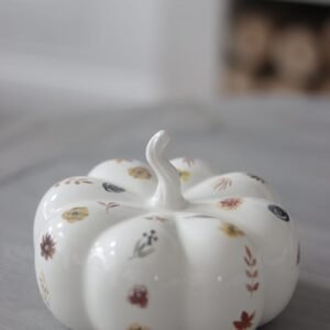 Alittleis Art Supplies Ceramic Pumpkin Autumnal Pattern - Large