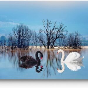 Startonight Acrylic Glass Wall Art - Black White Swans - Glossy Artwork 24" x 36" Home Decor Ready to Hang